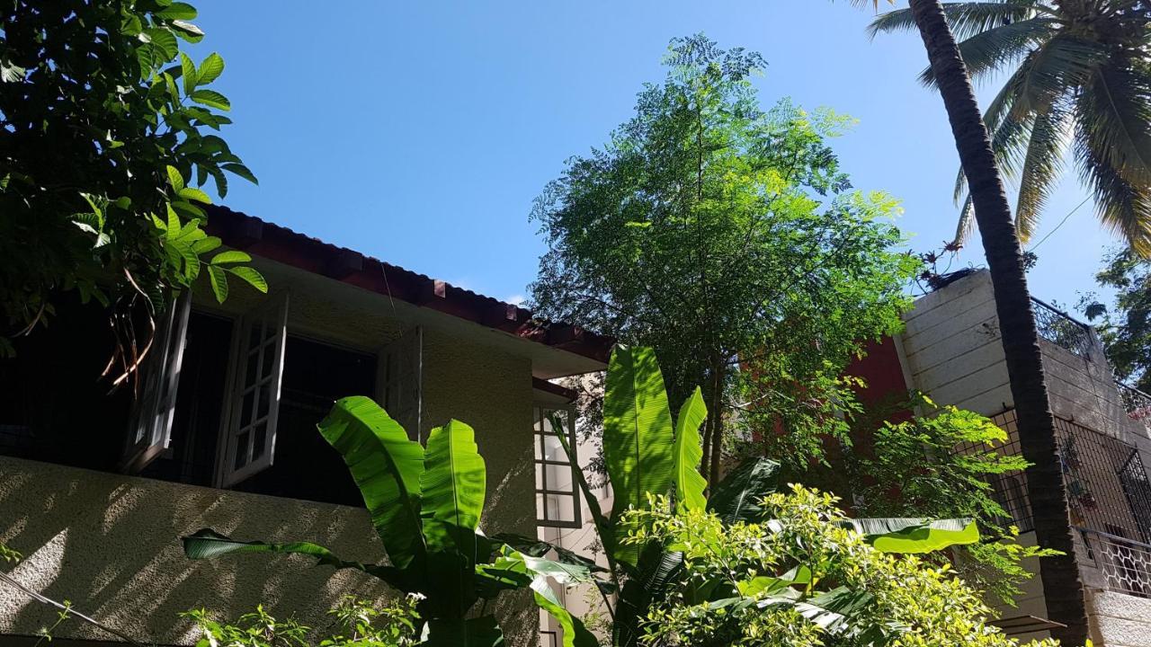 BE ANIMAL Hostel Bangalore Exterior foto